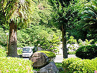 なぎの木と記念碑