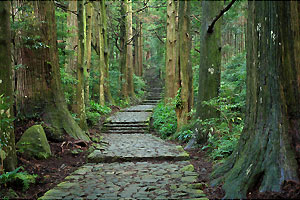 熊野古道大門坂